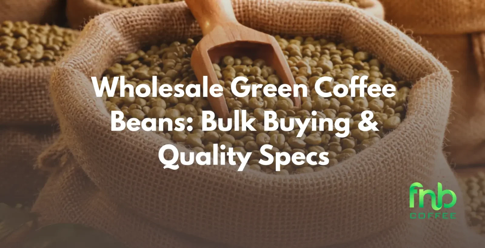 Wholesale Green Coffee Beans: Bulk Buying & Quality Specs