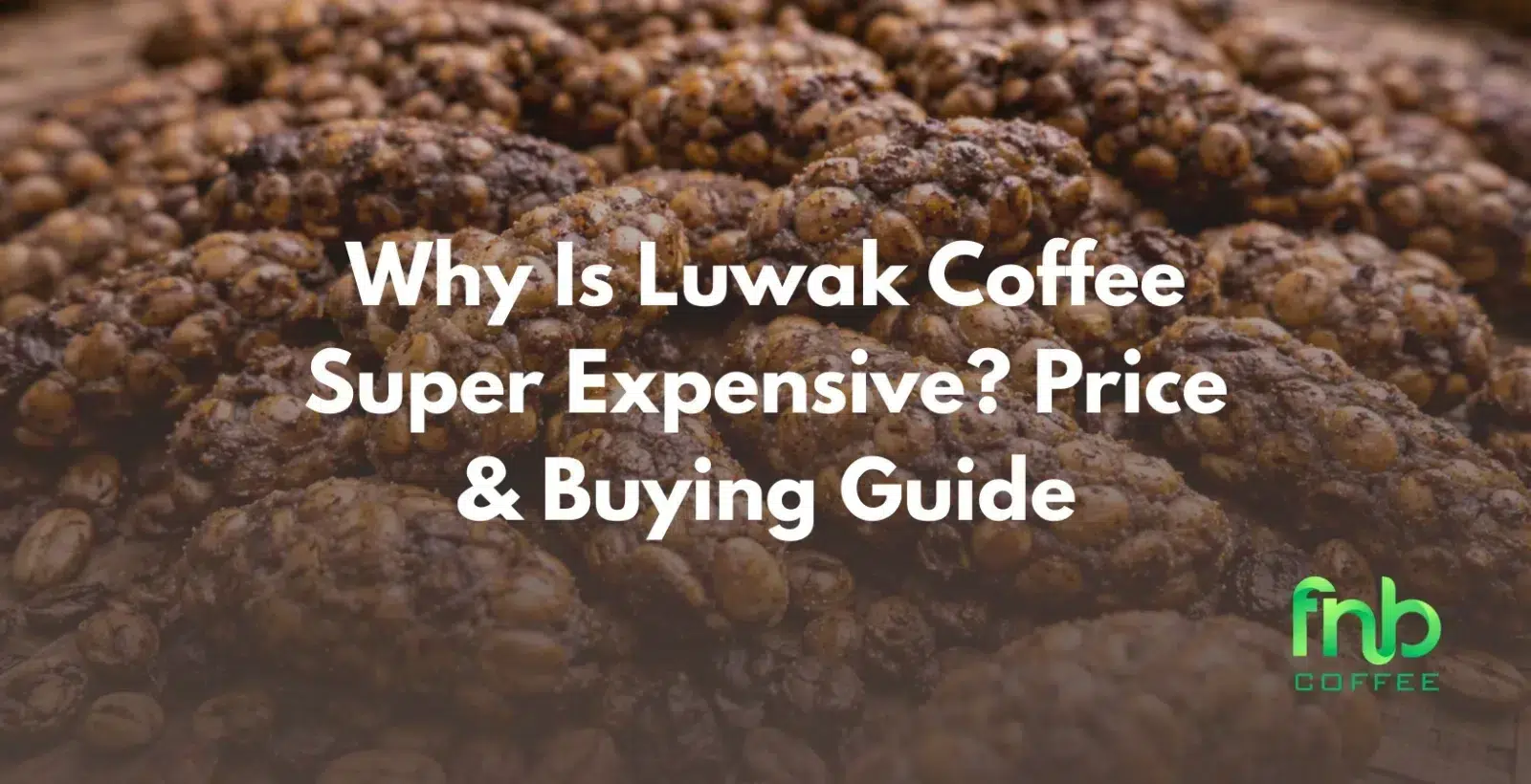 Why Is Luwak Coffee Super Expensive? Price & Buying Guide