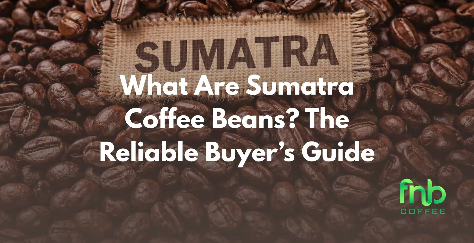 sumatra coffee beans