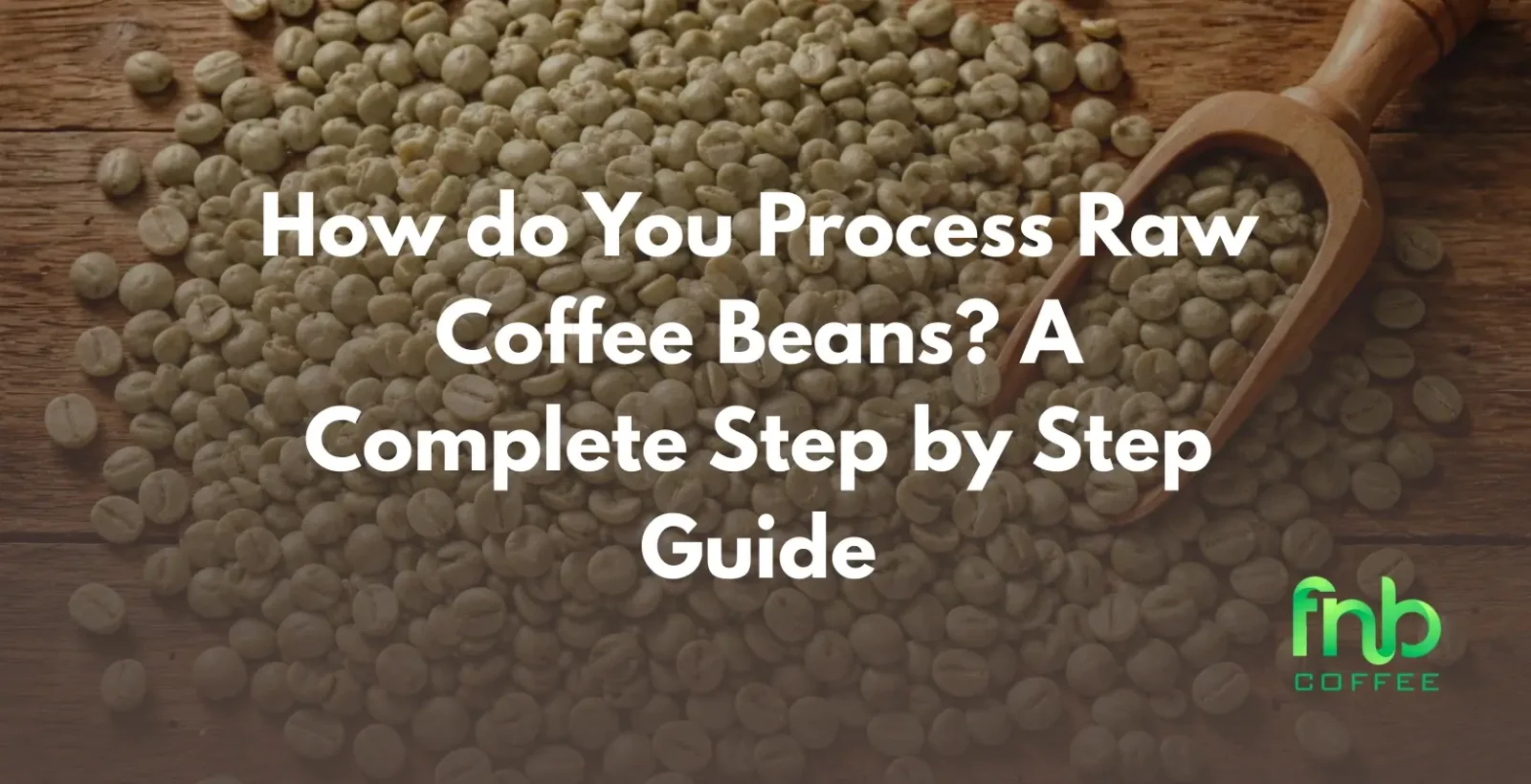 How do You Process Raw Coffee Beans? A Complete Step by Step Guide