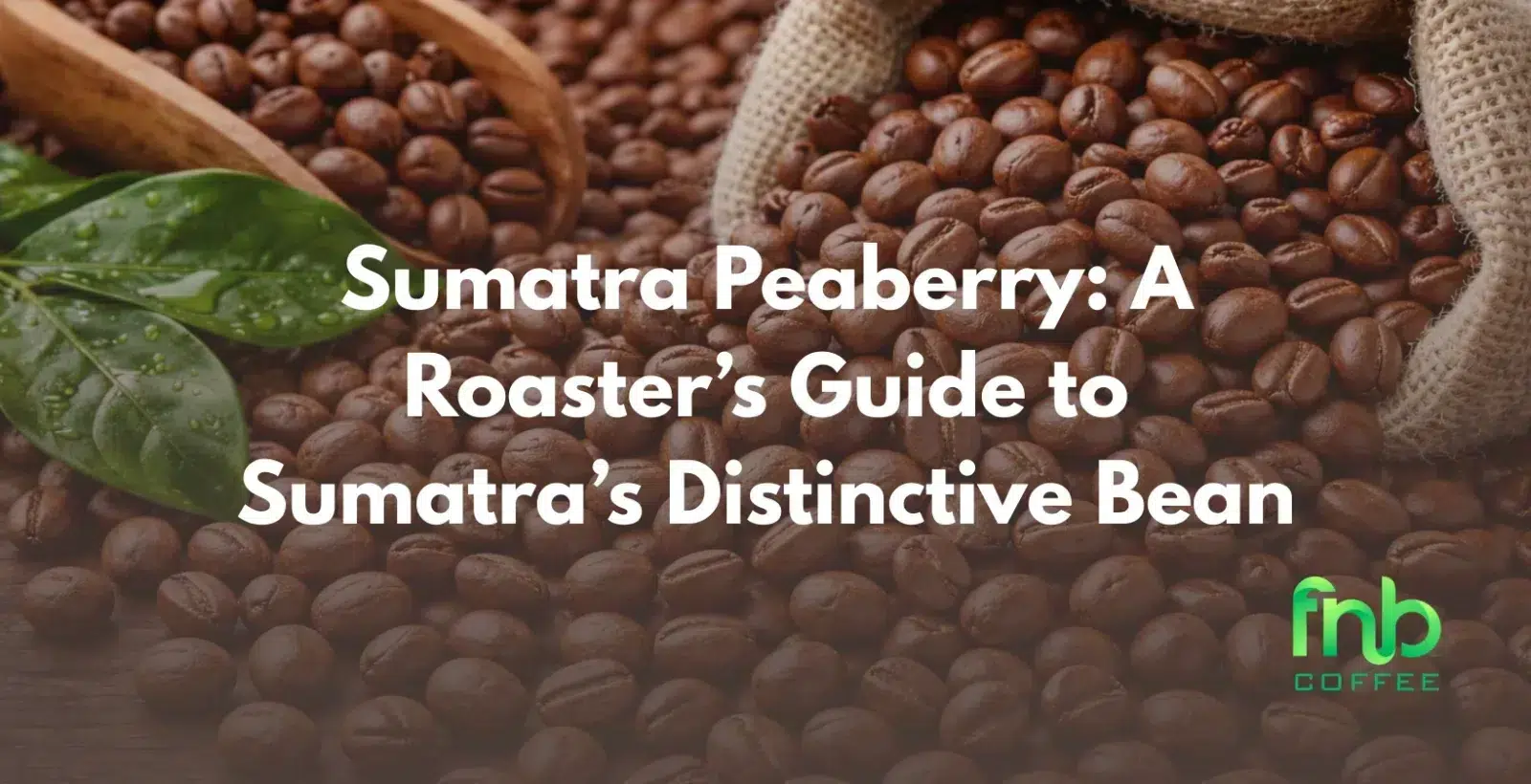 Sumatra Peaberry: A Roaster’s Guide to Sumatra’s Distinctive Bean