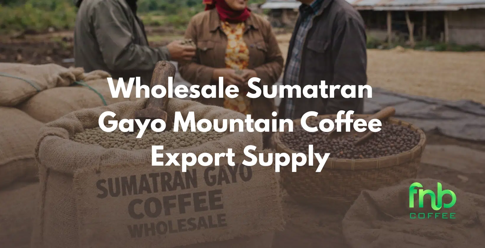 sumatran gayo mountain coffee