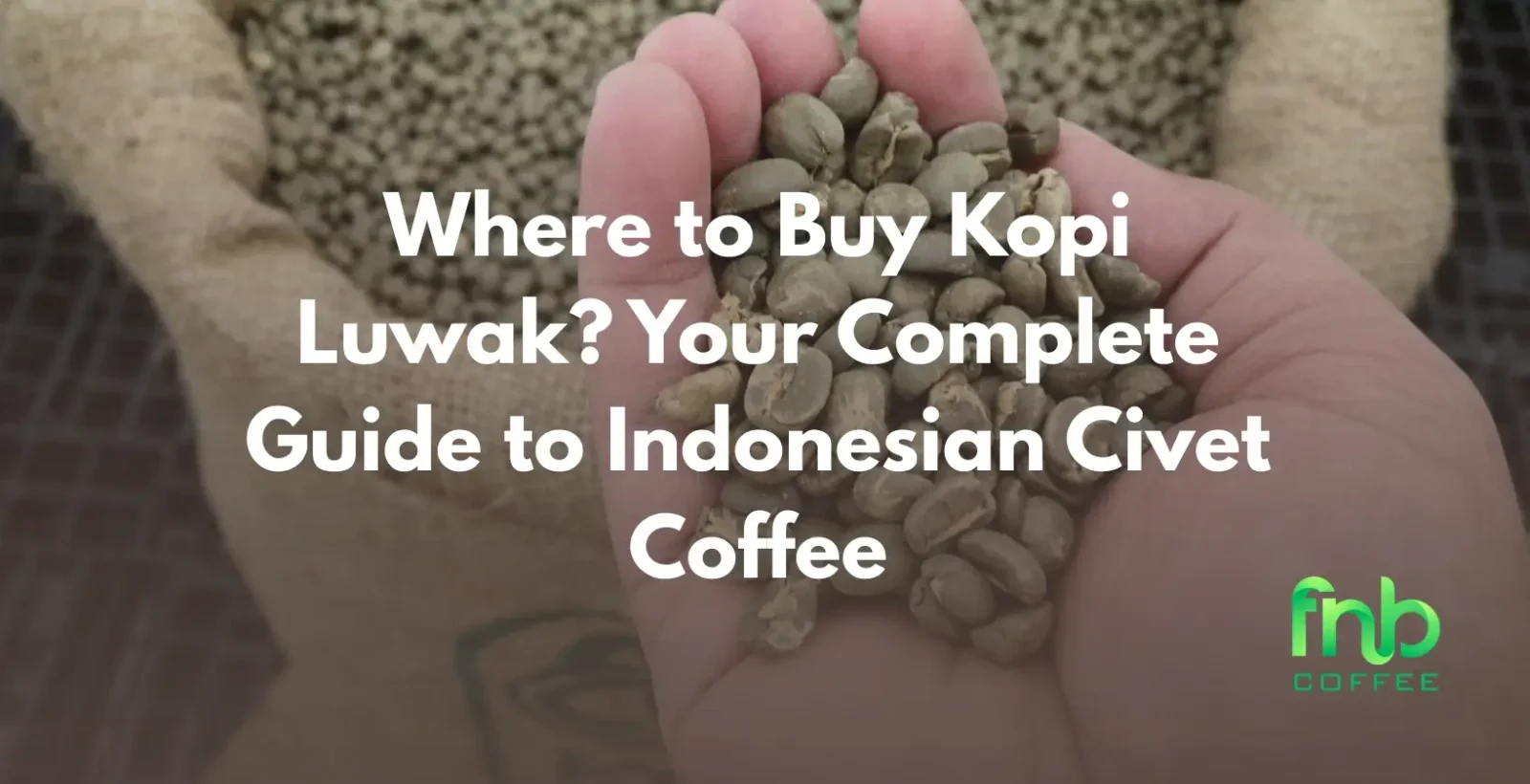 Where to Buy Kopi Luwak? Your Complete Guide to Indonesian Civet Coffee