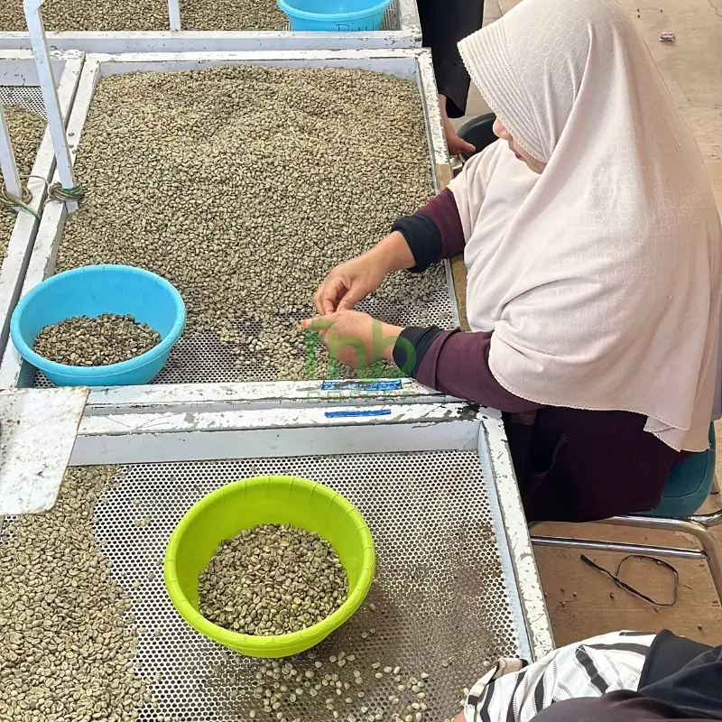 Coffee pulping process