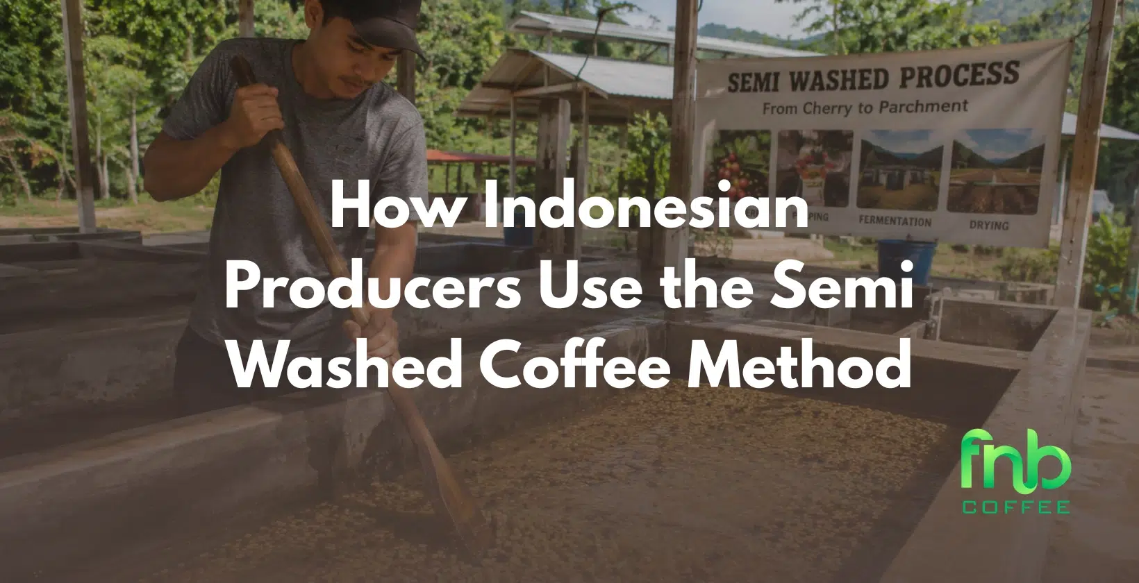 semi washed coffee process indonesia