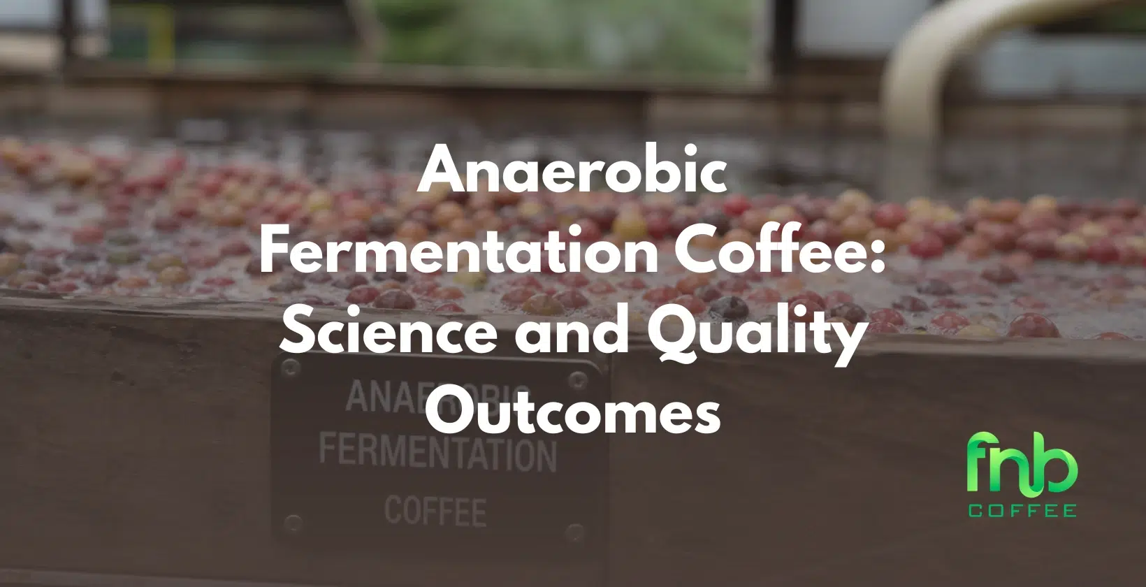 anaerobic fermentation coffee