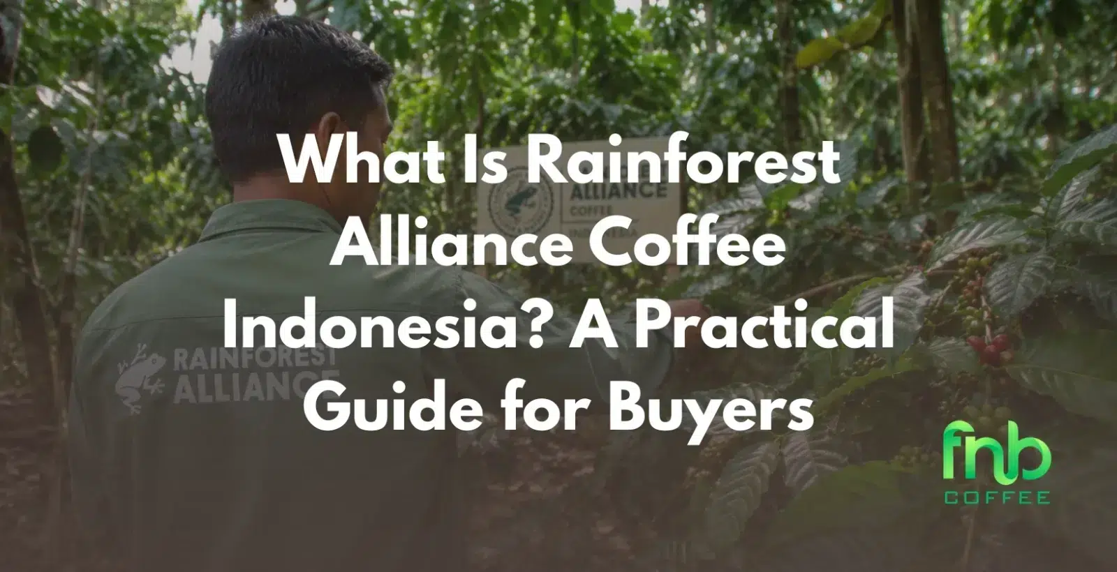 What Is Rainforest Alliance Coffee Indonesia? A Practical Guide for Buyers