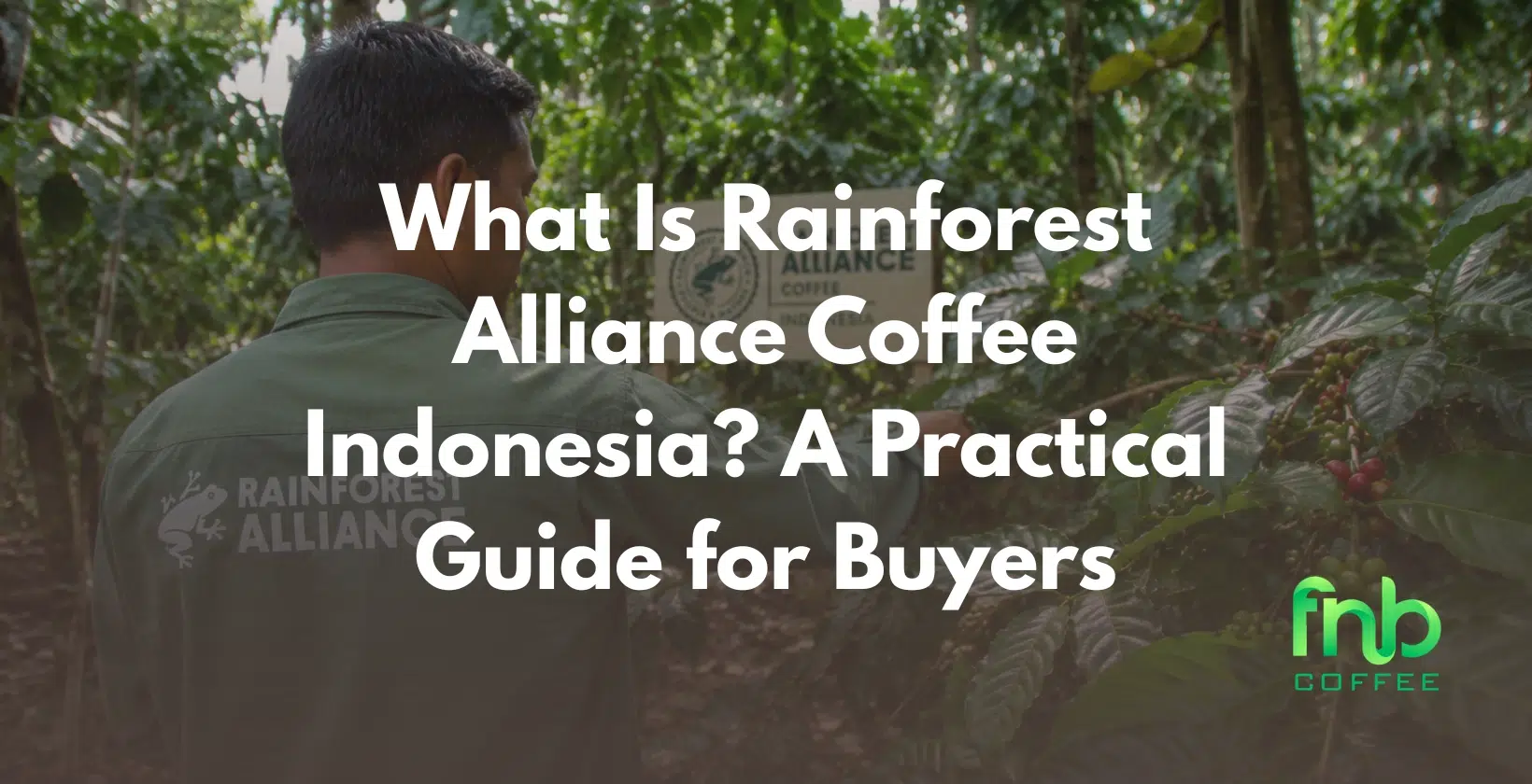 rainforest alliance coffee indonesia