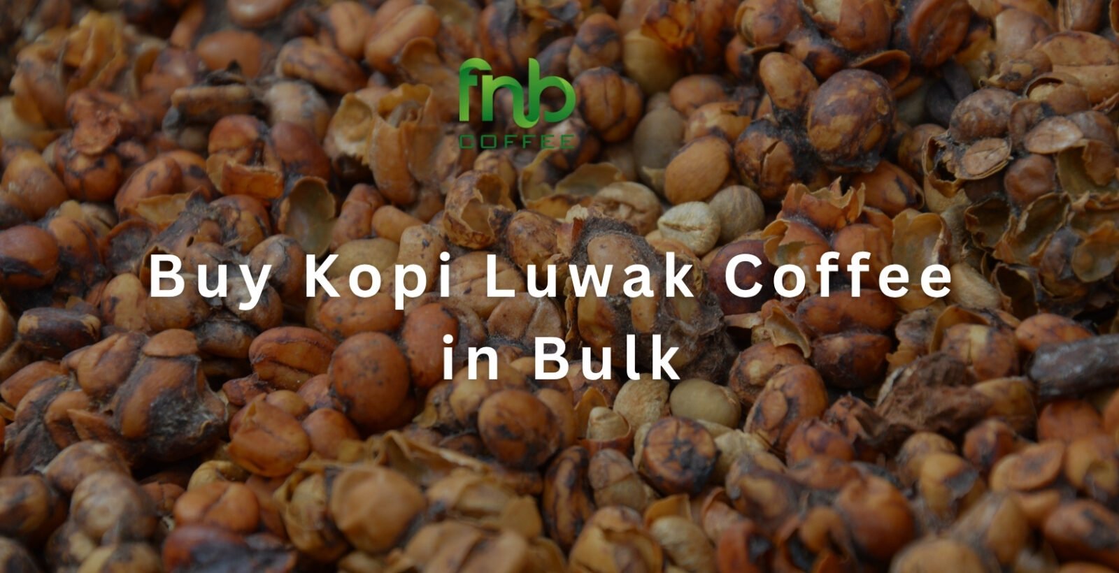 Where to Buy Kopi Luwak Coffee in Bulk: A B2B Sourcing Guide