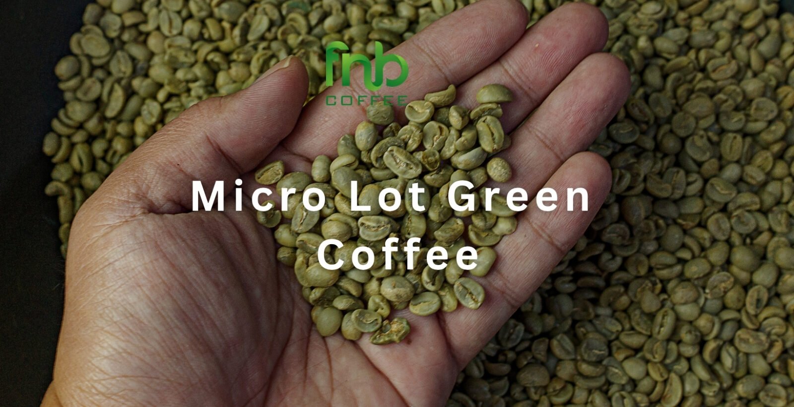 Micro Lot Green Coffee: What It Is and Why Roasters Source It