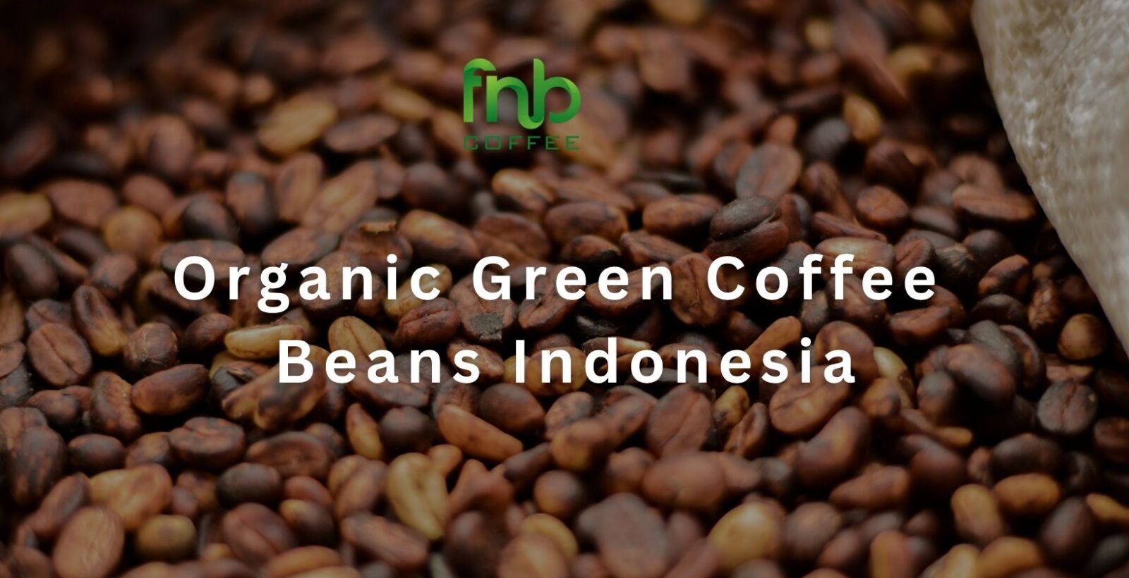 Organic Green Coffee Beans: What Certification Means for Buyers