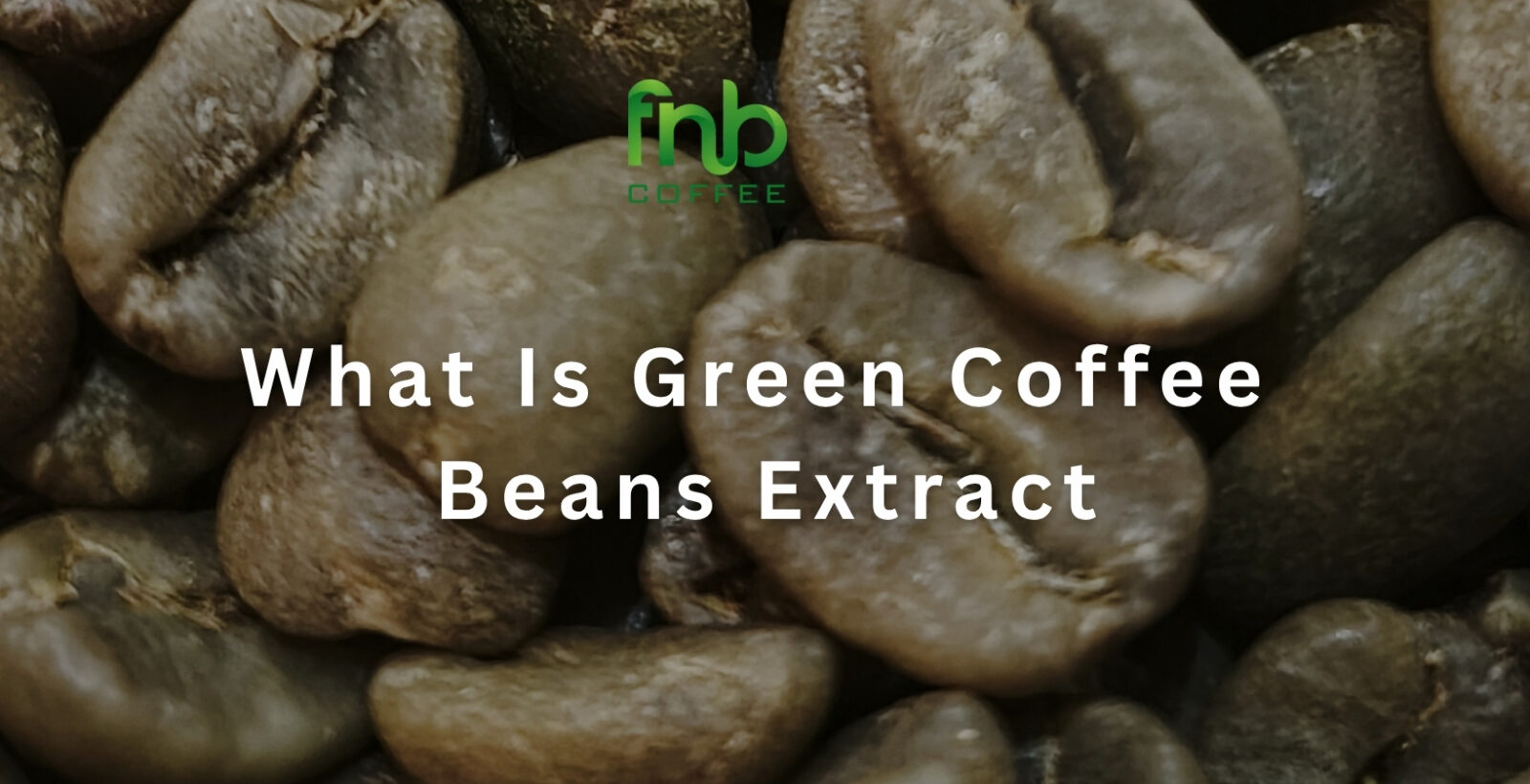 What Is Green Coffee Bean Extract?