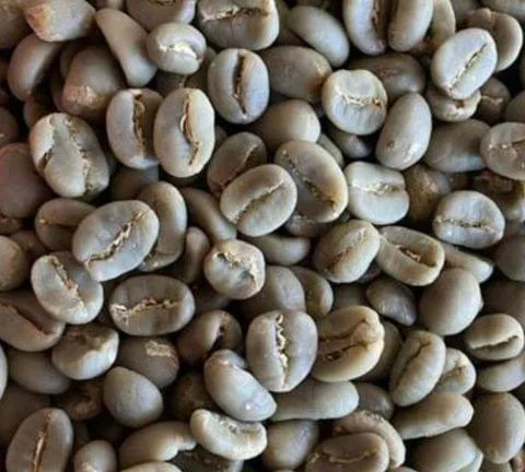 爆安!!【コーヒー生豆】ジャバ/ロブスタ/インドネシア 70kg※送料無料 爆安!!【コーヒー生豆】ジャバ/ロブスタ/インドネシア 70kg※送料無料