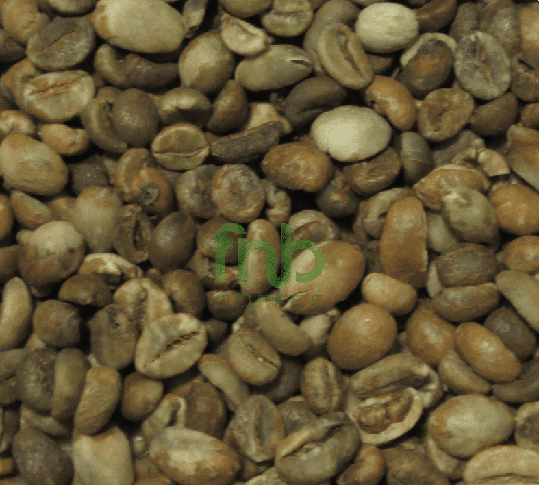 Sumatra Robusta - Lampung Grade 2 Green Coffee Beans