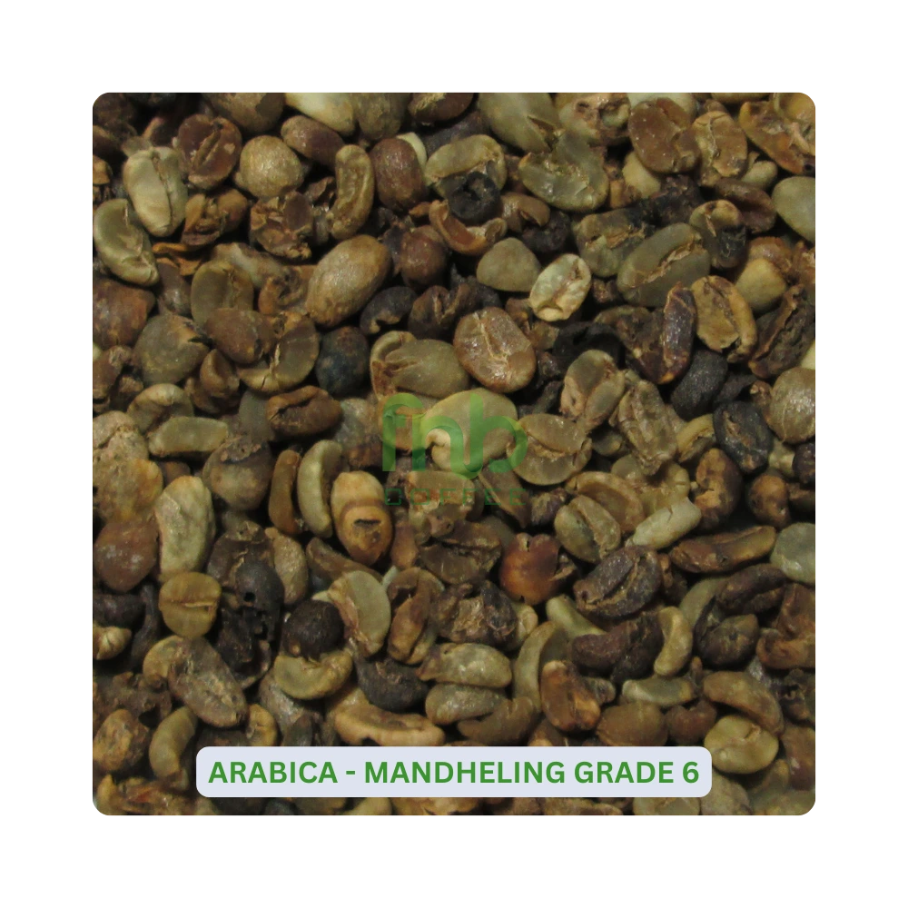 Arabica-Mandheling-Grade-6-2