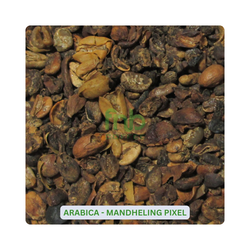 Arabica-Mandheling-Pixel