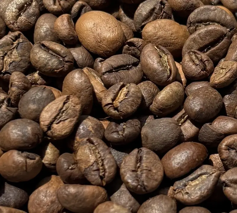 Robusta Roasted