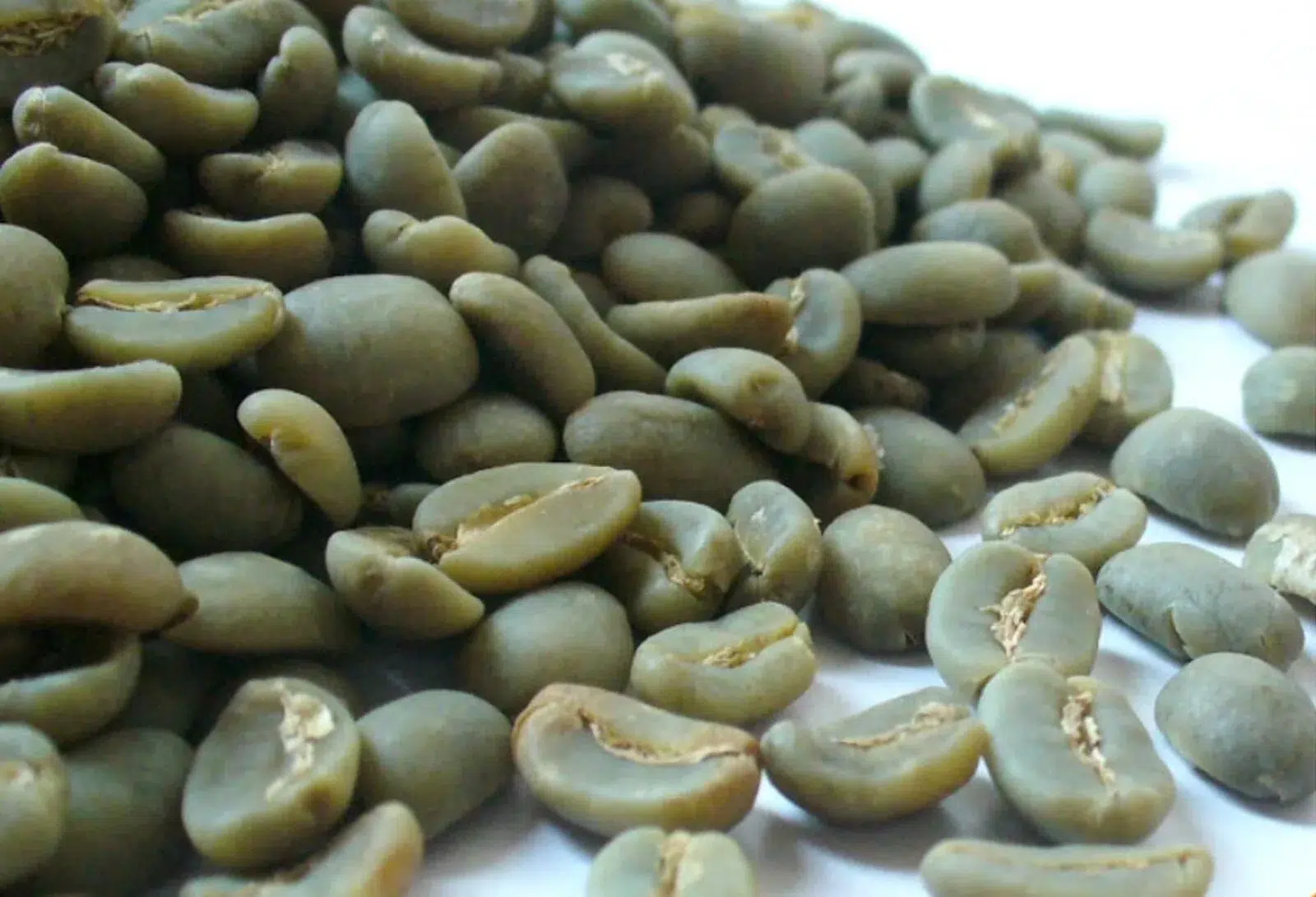 Golden Mandheling coffee