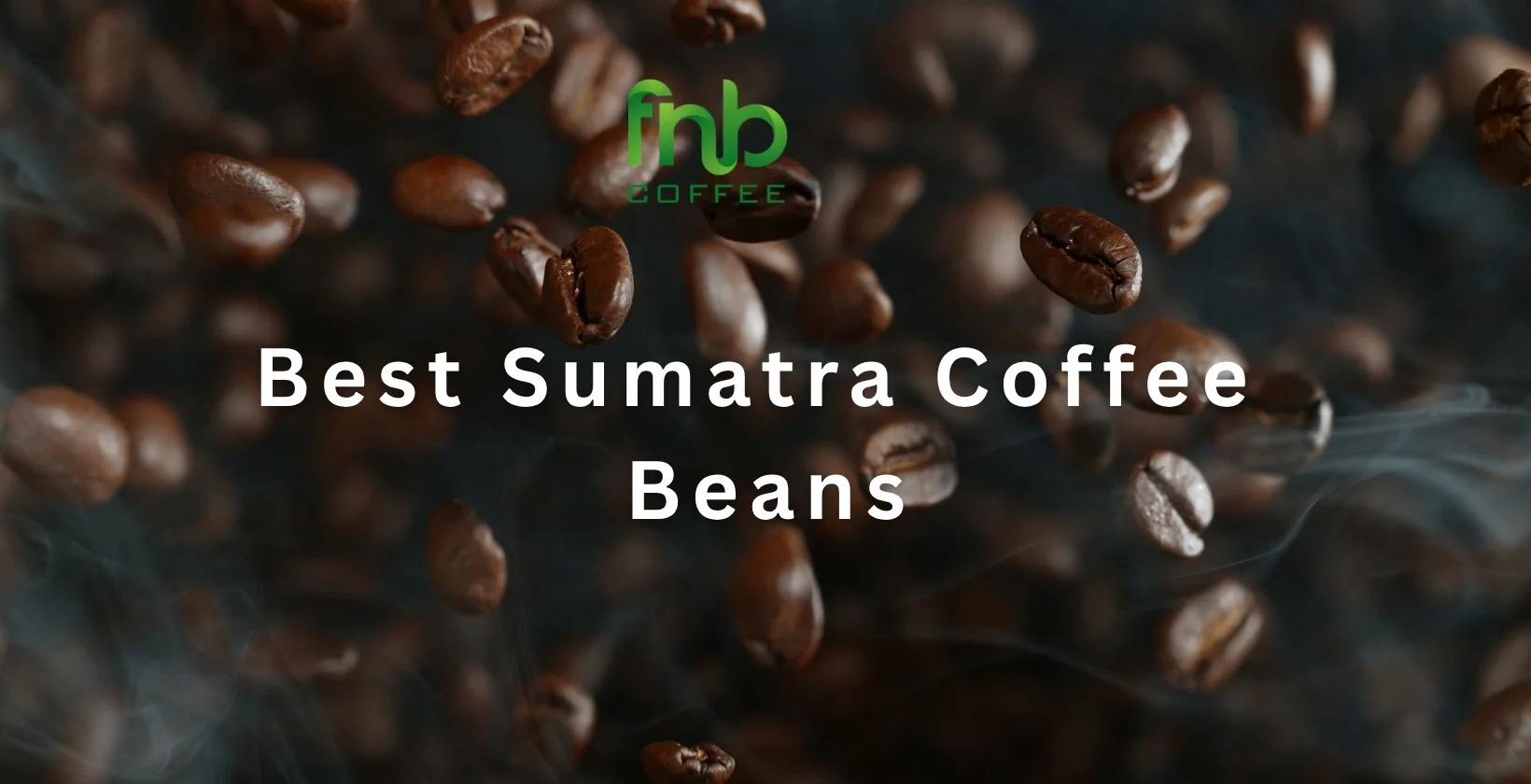 Best Sumatra Coffee Beans 1640 x 840 px 1 2
