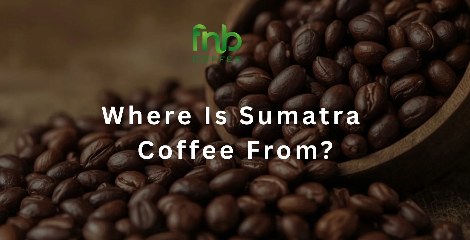 Where Is Sumatra Coffee From 1640 x 840 px 1 1