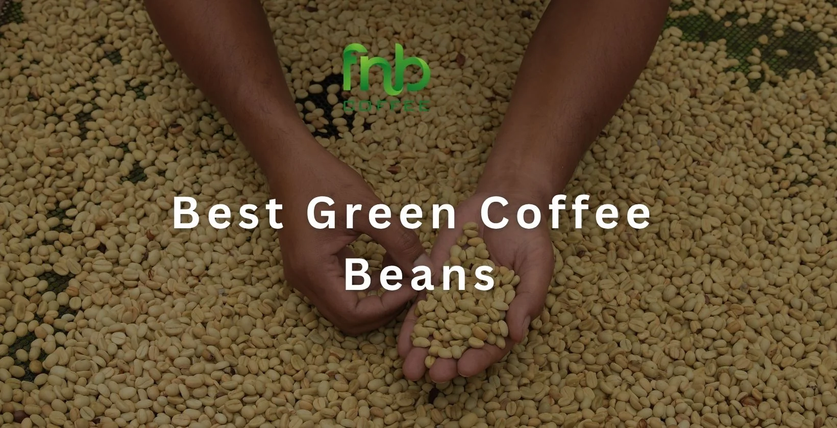 Best Green Coffee Beans 1640 x 840 px