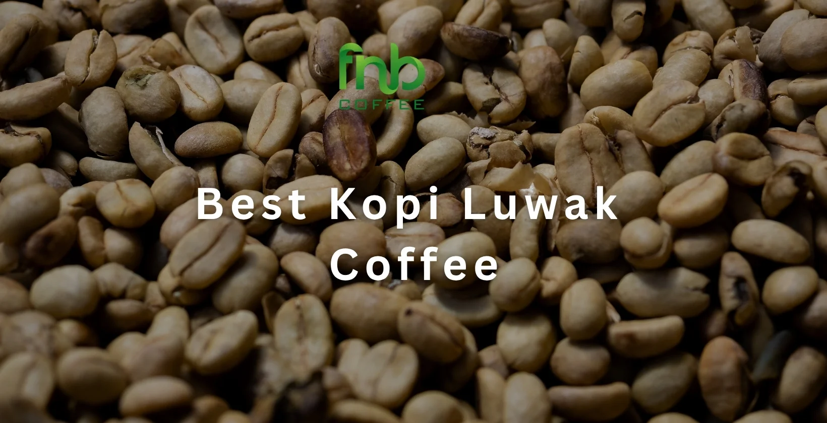 Best Kopi Luwak Coffee 1640 x 840 px