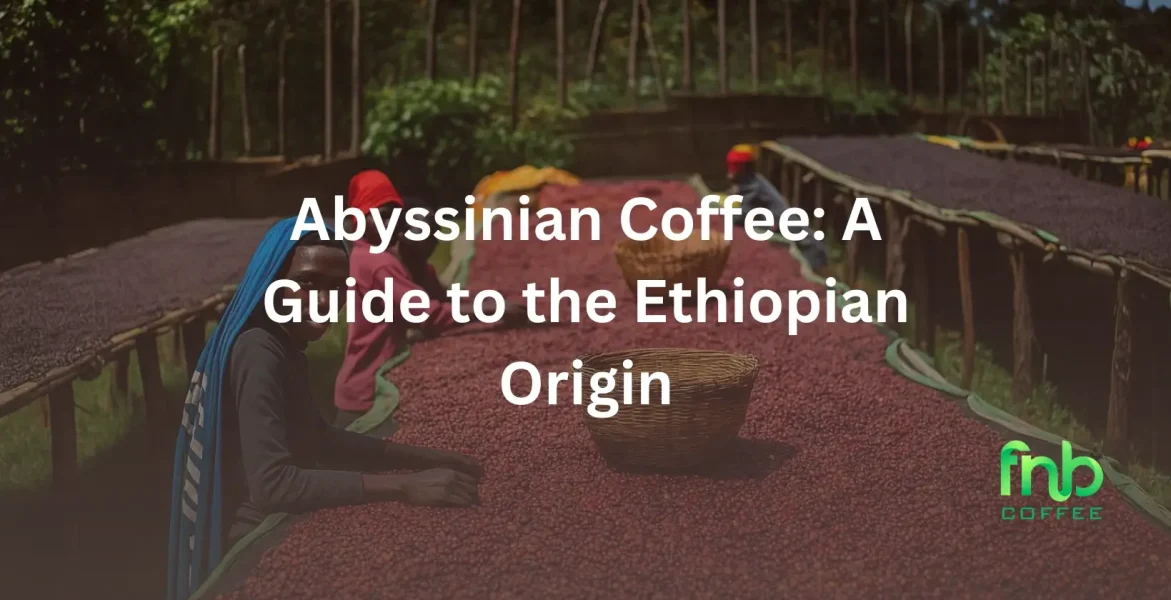 Abyssinian Coffee