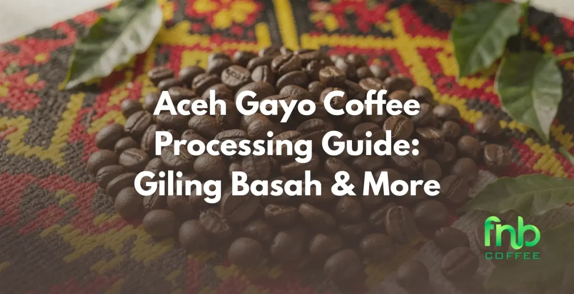 Aceh Gayo Coffee Processing