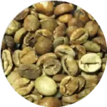 Bali-Robusta-Extra-Large-Bean.webp