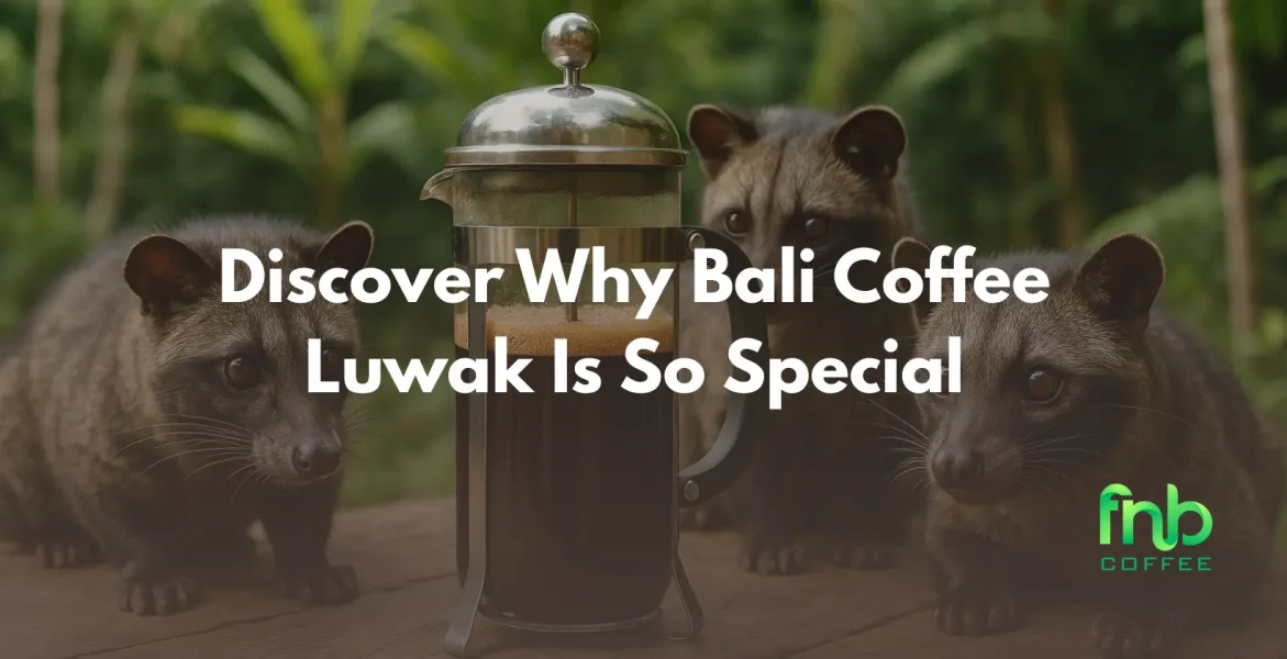 An image of Bali Coffee Luwak beans, emphasizing their unique qualities and the reasons they are considered worth trying.
