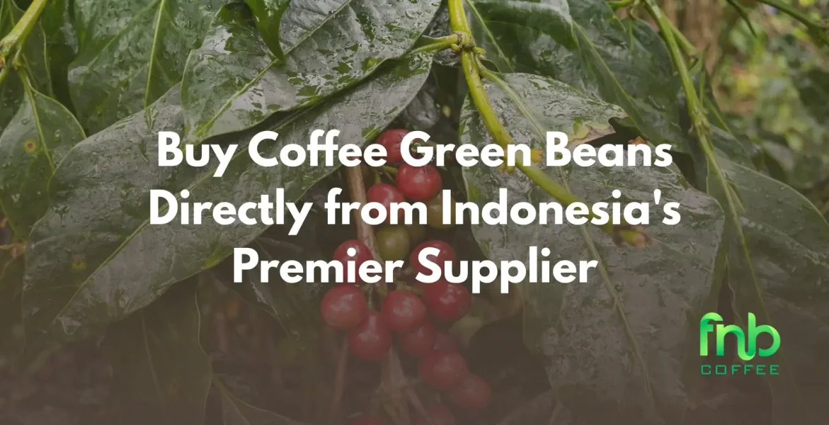 Buy Coffee Green Beans