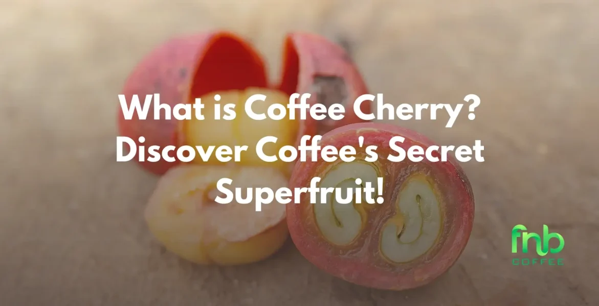 Coffee Cherry