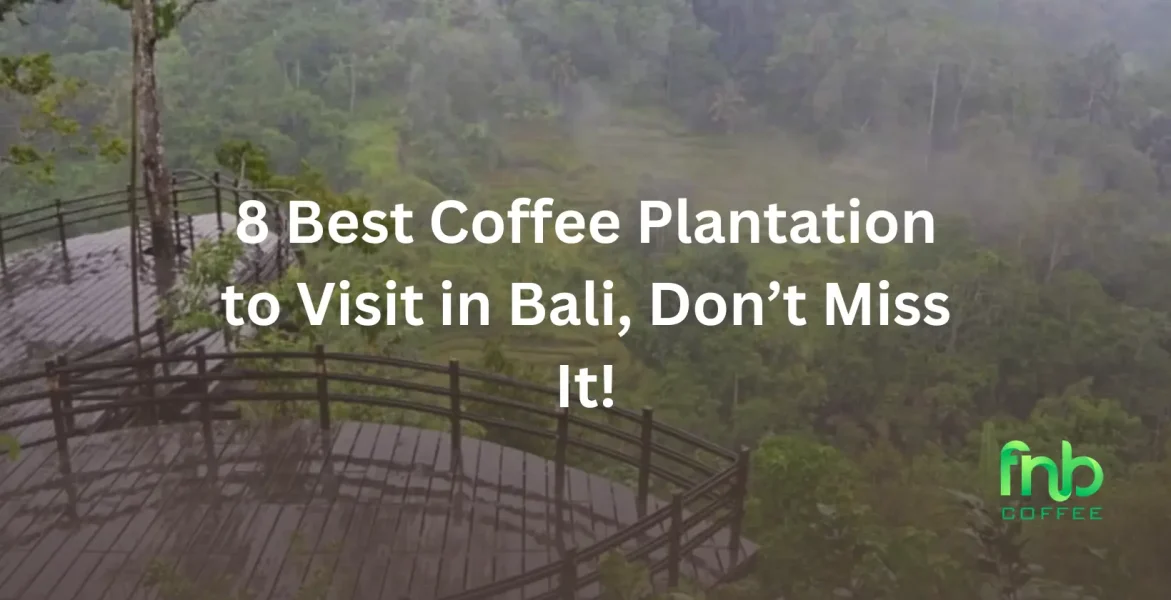 Coffee Plantation in Bali