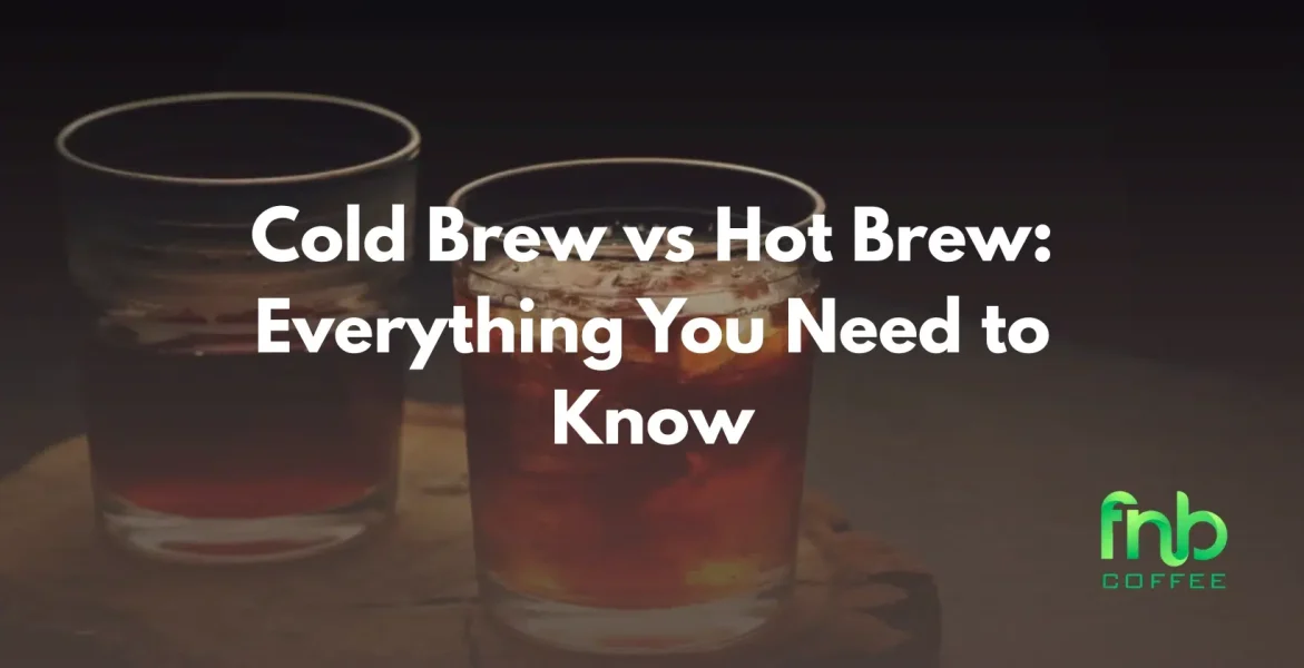 Cold Brew vs Hot Brew