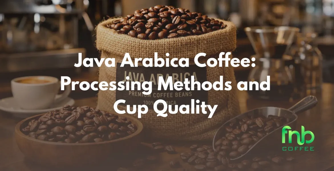 java arabica coffee