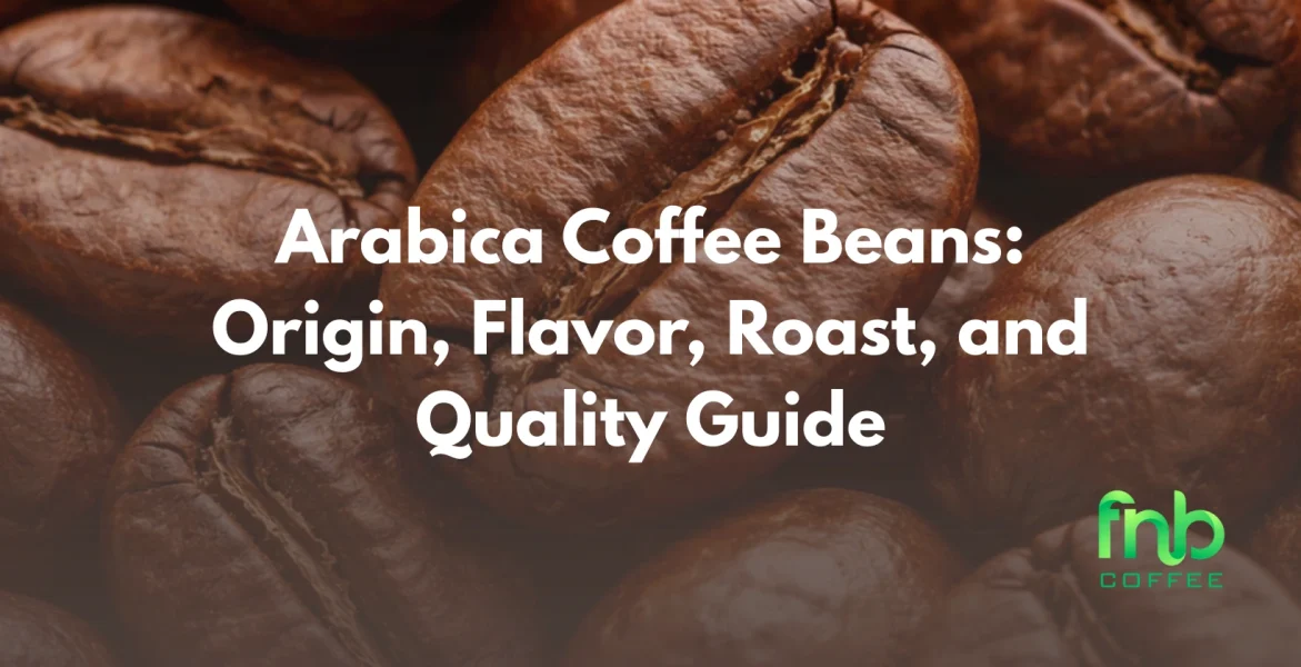 arabica coffee beans