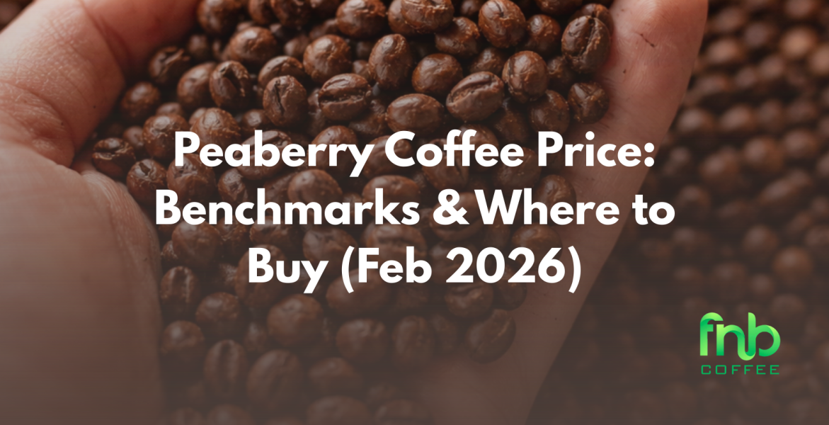 peaberry coffee price
