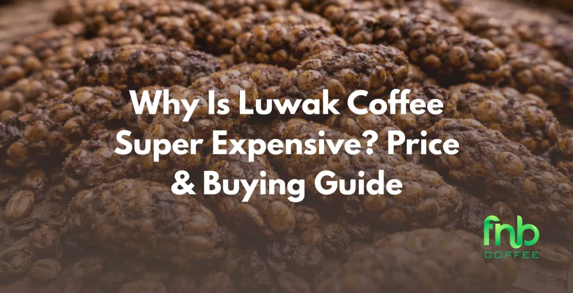 luwak coffee