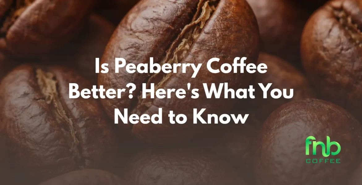 is peaberry coffee better