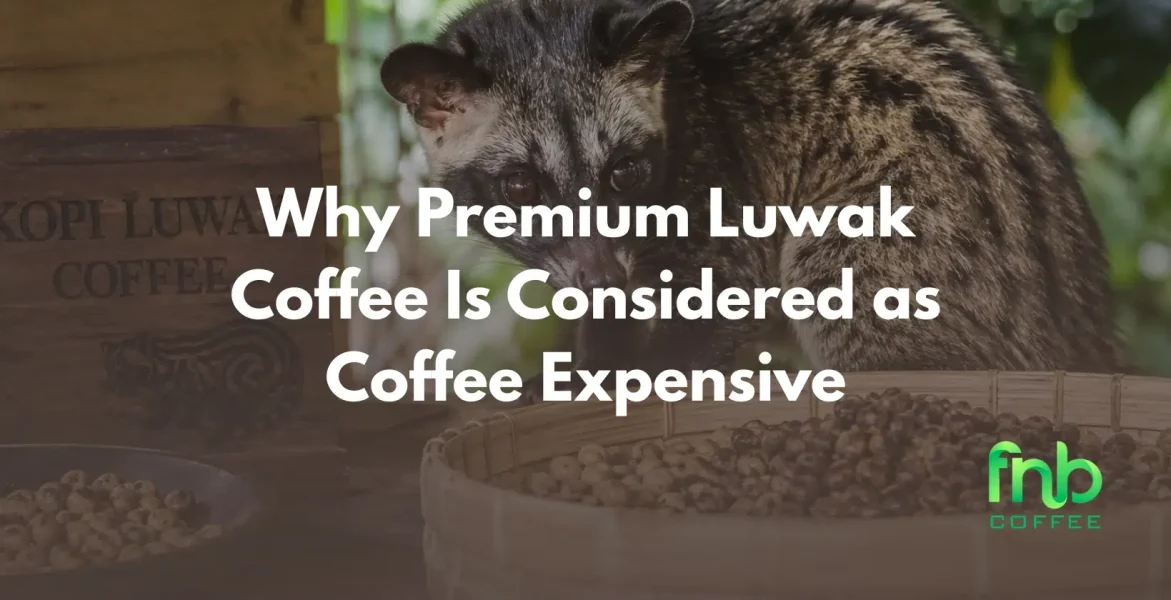 coffee expensive