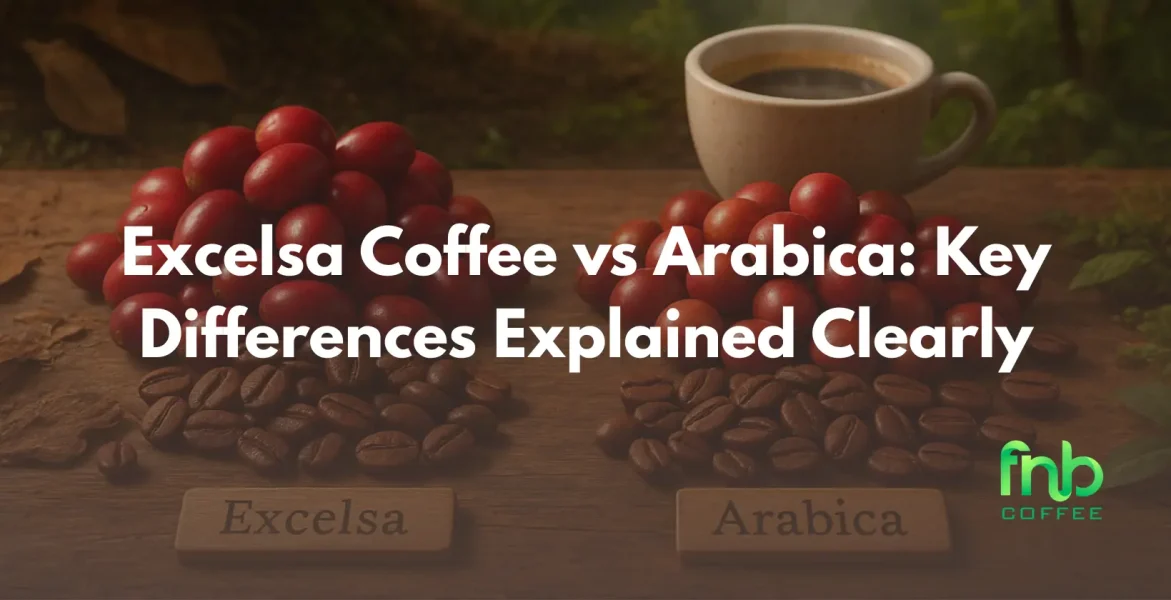 excelsa coffee vs arabica