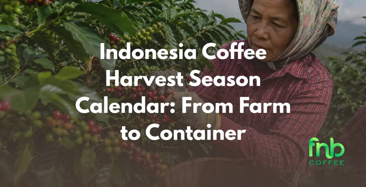 indonesia coffee harvest season calendar