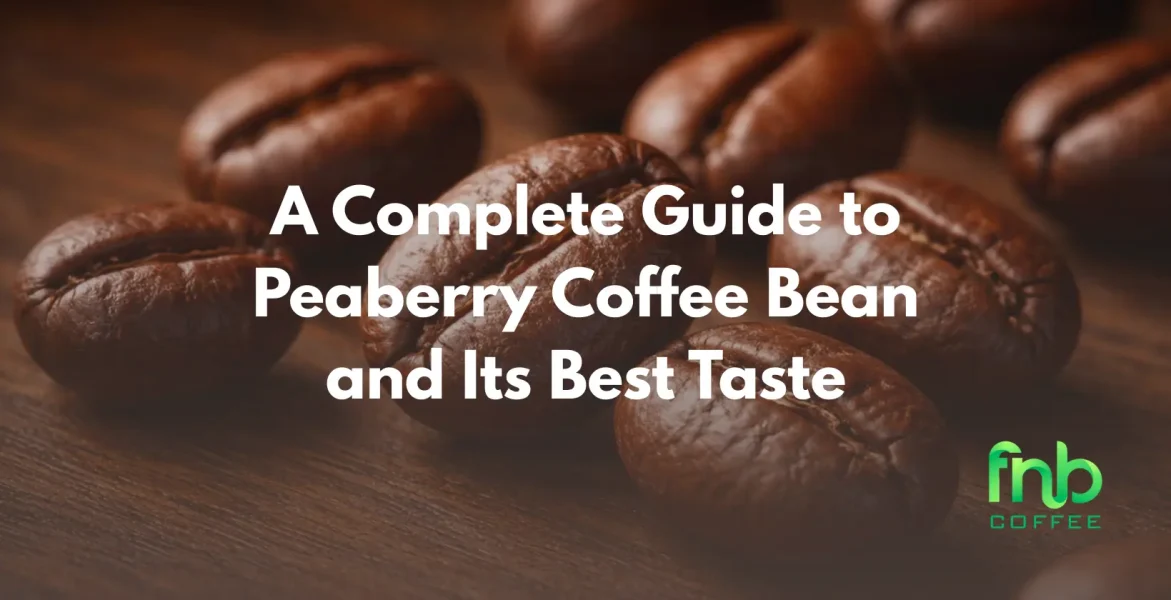 peaberry coffee bean