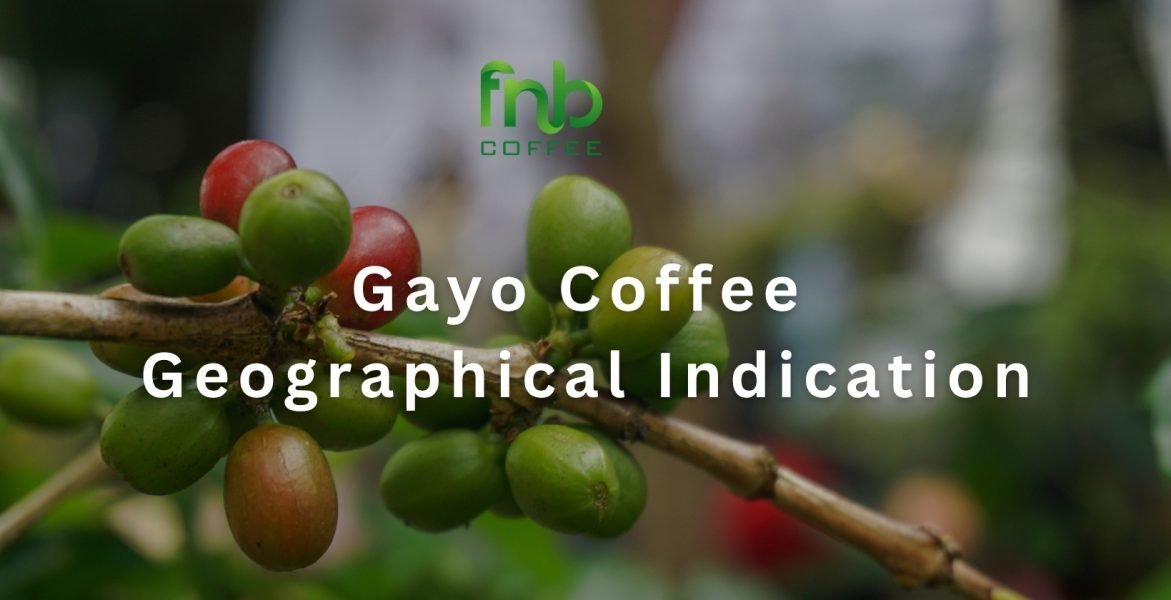 Gayo Coffee Geographical Indication- 1640 x 840 px
