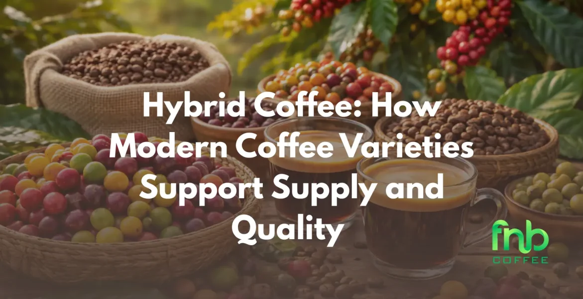 Hybrid Coffee How Modern Coffee Varieties Support Supply and Quality