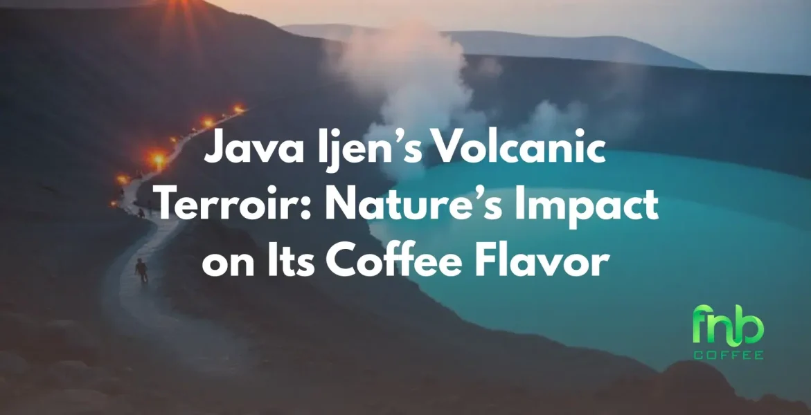 Java Ijen Volcanic Terroir
