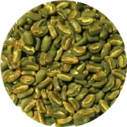 Lasuna Special Coffee