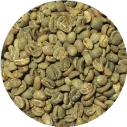 Luwak (Wild Civet Arabica Coffee)