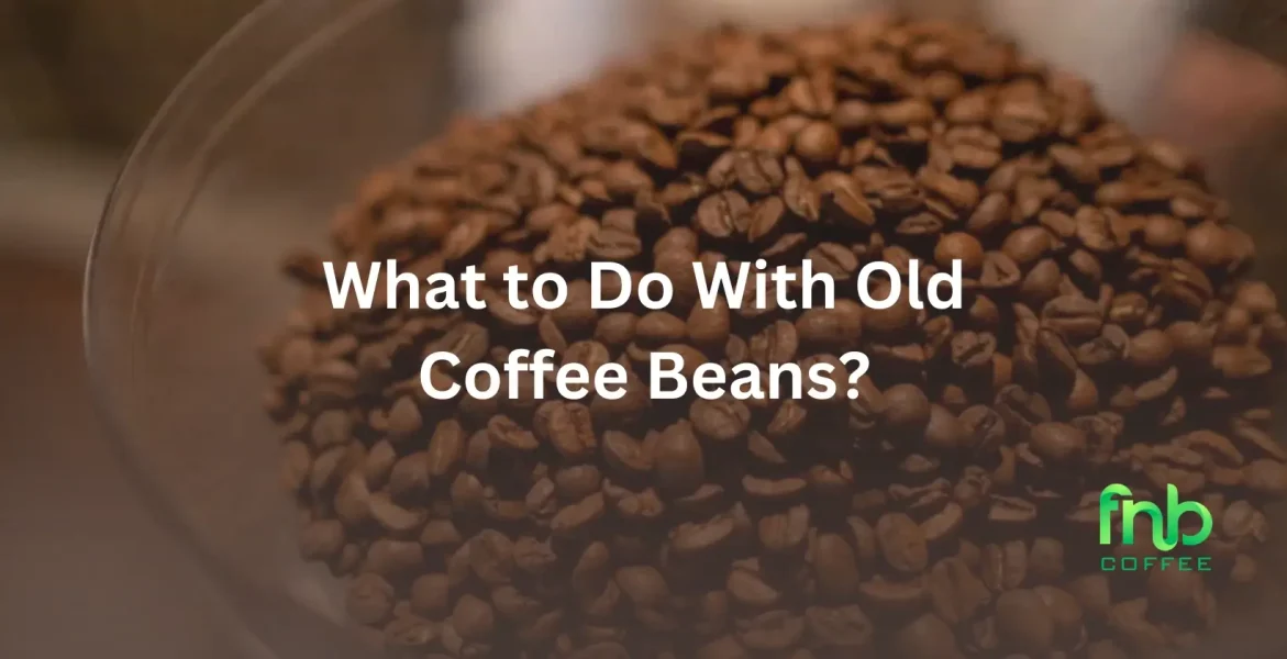 Old Coffee Beans