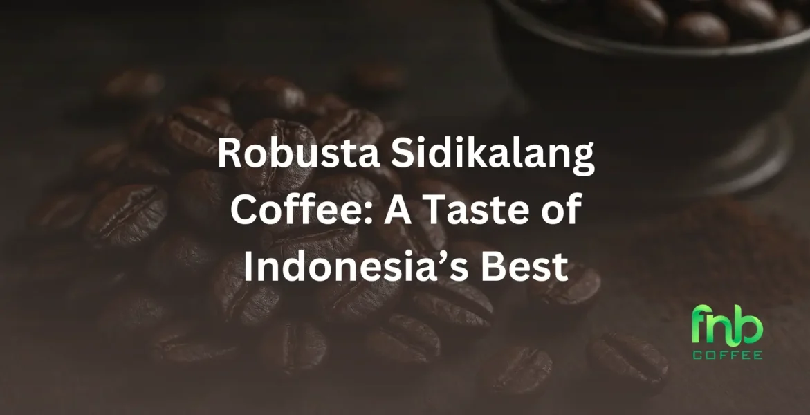 Robusta Sidikalang Coffee